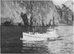 Smámynd fyrir Mynd:Halkion 1945-1955.png