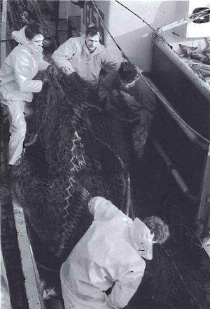 Undir trollinu Sdbl. 1990.jpg