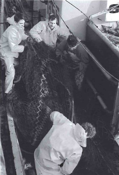 Mynd:Undir trollinu Sdbl. 1990.jpg