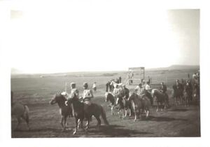 Fa-fjólublátt (46).jpg