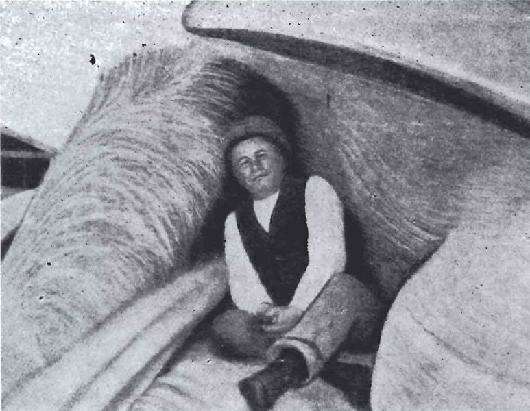 Mynd:Í gini hvalsins Sdbl. 1991.jpg