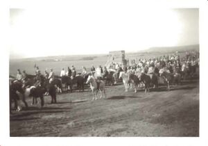 Fa-fjólublátt (43).jpg