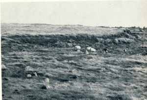 1974, bls. 178 B.jpg