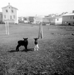 Landagata gislholtstun.jpg