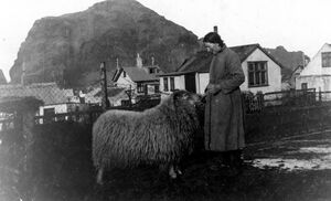 KG-mannamyndir 15414.jpg