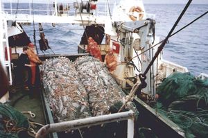 Góður afli Sdbl. 1995.jpg