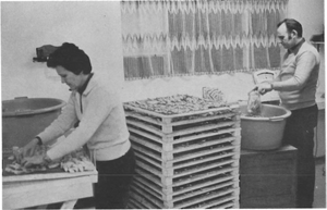 Hjónin Margrét Ólafsdóttir og kristján Sigurjónsson í fyrirtæki sínu Eyjafiski.png