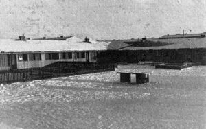 Blik1976 rauðikross bls184.jpg