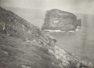 Fa-fjólublátt (23).jpg