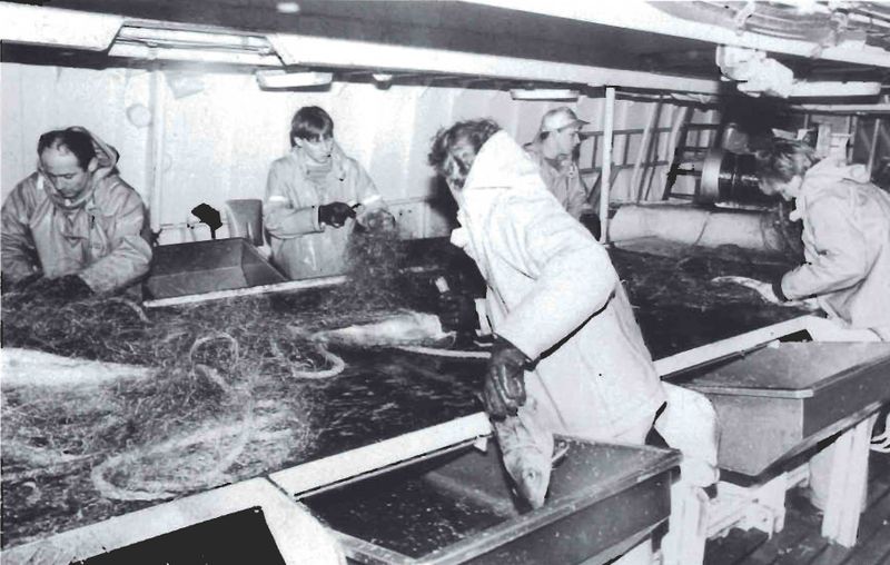 Mynd:Togaramenn telja netin Sdbl. 1990.jpg