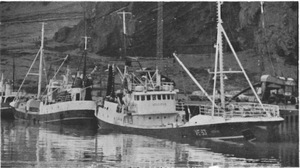 Ísleifarnir landa loðnu í Friðarhöfn.png