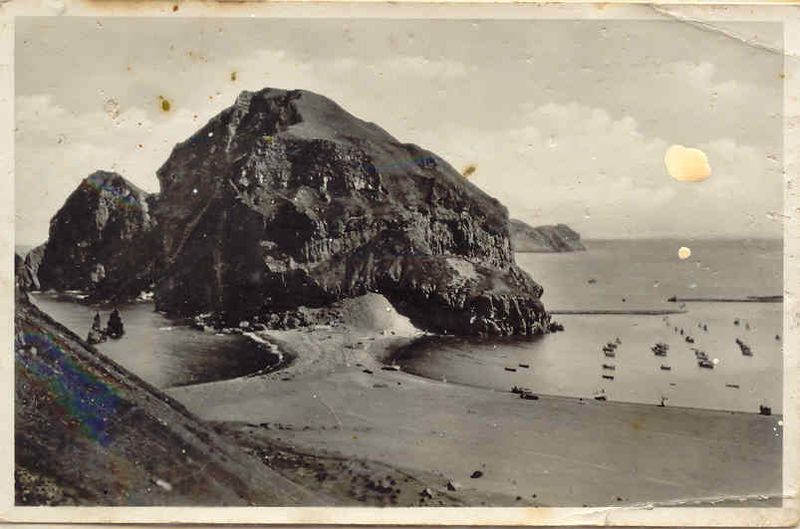 Mynd:Fa-grænt (30).jpg