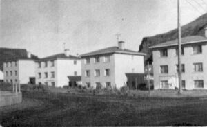 1973, bls. 225 B.jpg