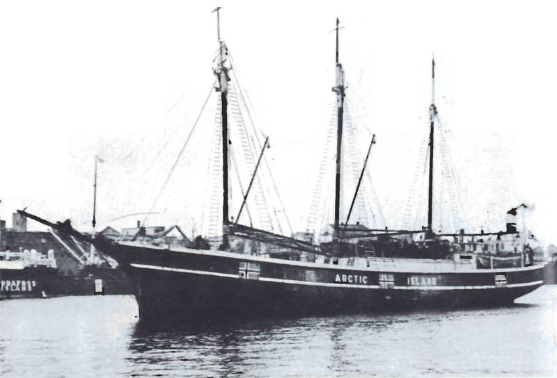 Mynd:Arctic 491 brúttólestir Sdbl. 1990.jpg