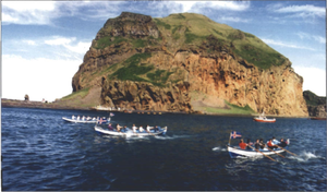 Lundabyggðin í heimakletti er löngu orðin græ á sjómannadag.png