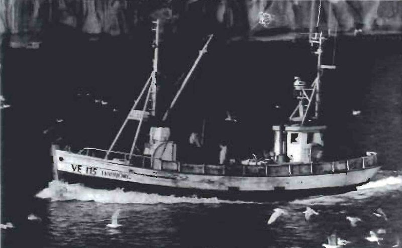 Mynd:Hafbjörg VE 115 Sdbl. 1991.jpg