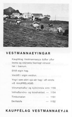 Blik 1978, auglýsingar 5.jpg