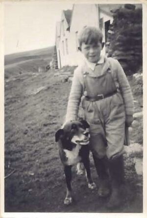 Fa-fjólublátt (32).jpg