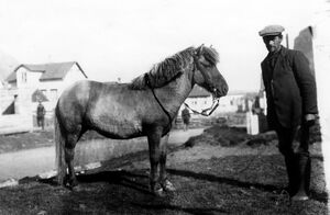 KG-mannamyndir 15809.jpg