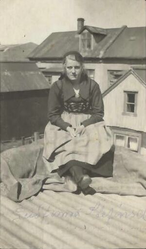 Fa-fjólublátt (54).jpg