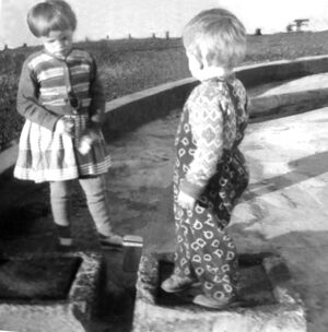 Skansinn tankur born ad leik.jpg