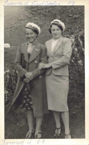 Fa-fjólublátt (38).jpg