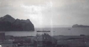 Fa-fjólublátt (37).jpg