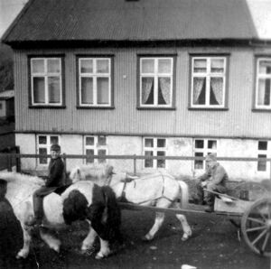 Vatnsdalur folkid oli hogni akur.jpg